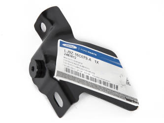 UCHWYT LEWY BŁOTNIKA PRZÓD MUSTANG MACH-E 21-  _ 2483612 _ LJ9B-R16123-AC