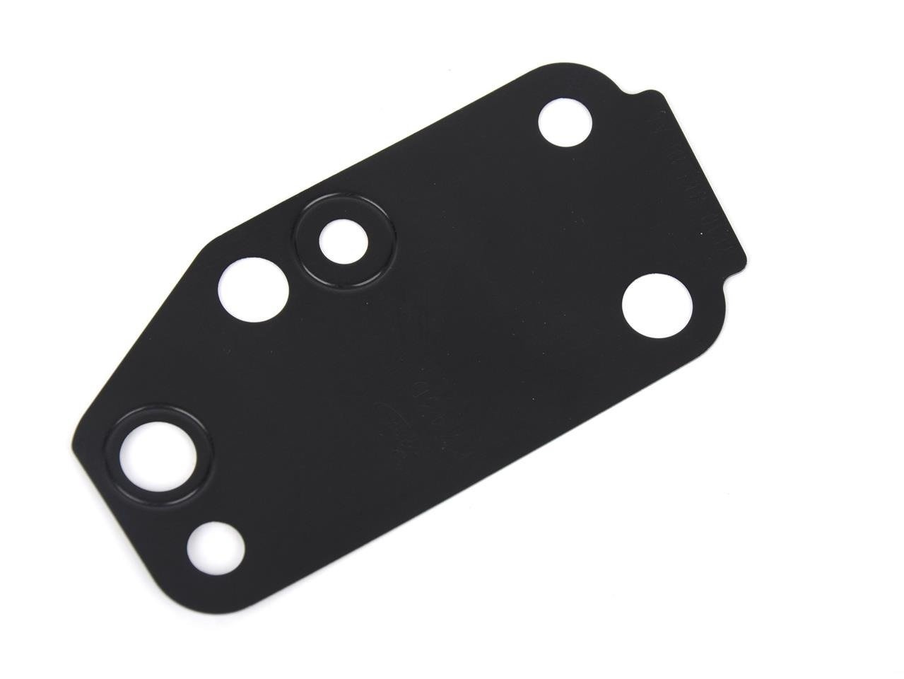 USZCZELKA POMPY WODY FORD TRANSIT 2.4 3.2 DURATORQ _ 1096559 _ YC1Q-8K540-AA