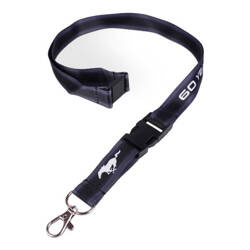 SMYCZ FORD MUSTANG 60 YEARS