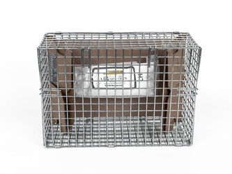 PODUSZKA POWIETRZNA FOTELA KIEROWCY FIESTA 17- _ 2511514 _ H1BB-A611D11-AF