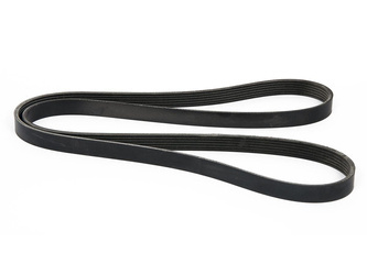 PASEK WIELOROWKOWY FOCUS 98-01 1.4 / 1.6 ZETEC _ 1072316 _ 98MF-6C301-BC