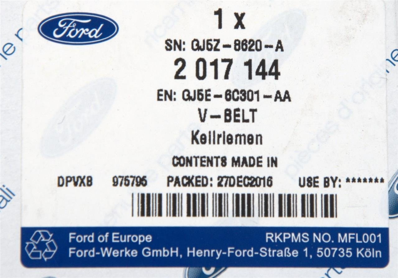 PASEK WIELOROWKOWY 2,0 EB / 2,5 I4 16V DOHC EFI _ 2017144 _ GJ5E-6C301-AA _ GJMZ-8620-A