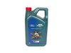 OLEJ FORD CASTROL MAGNATEC PROFESSIONAL 0W20 5L DIESEL _ 15F73C _ 0W-20 _ GTU_03